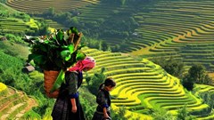 Sa Pa là thị trấn nhỏ đẹp nhất thế giới