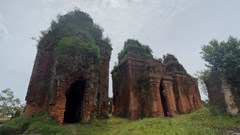 Tháp Chăm Khương Mỹ  bị "muối hóa", rêu mốc sau gần nửa năm trùng tu: Cần sớm tìm hướng khắc phục