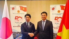 Lễ hội Việt Nam tại Nhật Bản