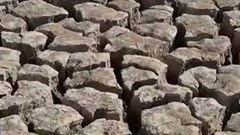 Nhiệt độ toàn cầu sẽ đạt mức kỷ lục mới trong vòng 5 năm tới