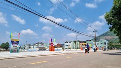 Chỉnh trang đô thị, đ​​​​​​​ang tâm triệt hạ hàng cây sao đen