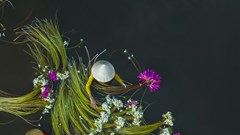 Chưa có công chúng cho ảnh nghệ thuật