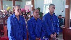 Hơn 21 năm tù cho 3 đối tượng phá rừng trái phép