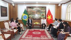 Việt Nam – Brazil: Tăng cường hợp tác văn hoá, thể thao