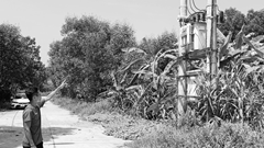 Thừa Thiên Huế: Tái định cư 7 năm vẫn chưa được cấp sổ đỏ, điện nước