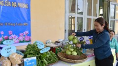 Quảng Ngãi: Sản phẩm OCOP gắn với văn hóa vùng, miền