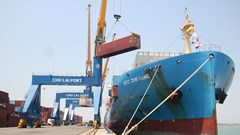 Quảng Nam: Hỗ trợ doanh nghiệp chủ động thích ứng, phục hồi nhanh và phát triển bền vững