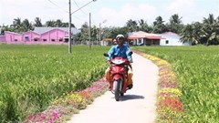 Báo chí Campuchia: Việt Nam quan tâm phát triển vùng đồng bào Khmer