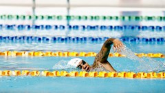 ASEAN Para Games 12: Các VĐV bơi Việt Nam liên tục “gặt vàng”