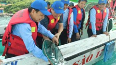 Lễ hội thả sinh vật biển bảo vệ môi trường vịnh Nha Trang