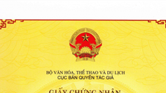 Quy định các mẫu trong hoạt động đăng ký quyền tác giả, quyền liên quan