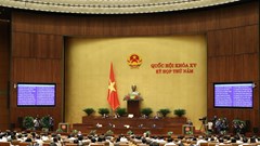 Quốc hội chất vấn nhóm vấn đề thuộc lĩnh vực lao động, thương binh và xã hội