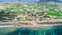 Lý Sơn sẽ quy tập toàn bộ mồ mả để bảo vệ môi trường và phát triển