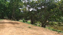 Vụ xâm phạm danh thắng quốc gia hồ Đồng Vụa (Nga Sơn, Thanh Hóa): Đã hoàn trả nguyên trạng và giao cho chính quyền địa phương quản lý