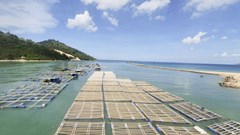 Lo ngại ảnh hưởng môi trường biển từ bè nuôi trồng thuỷ sản tự phát dưới chân cầu Đề Gi