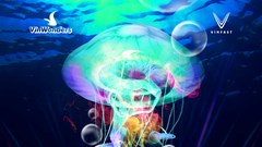 Đặt ngay combo siêu hot VINPEARL X 8WONDER đón hè diệu kỳ cùng Charlie Puth