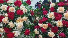 Lời cảm ơn của của Báo Văn Hoá nhân kỷ niệm 98 năm Ngày Báo chí Cách mạng Việt Nam