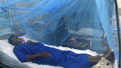 WHO: El Nino làm gia tăng sự lây lan các bệnh liên quan đến virus