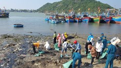 UBND tỉnh Bình Định: Chấm dứt tình trạng “Rác thải bủa vây cửa biển, cảng cá”