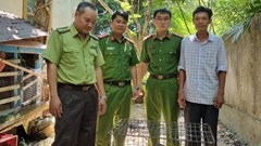 Thừa Thiên Huế vận động người dân giao nộp 2 cá thể khỉ vàng quý hiếm