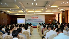 Quảng Ngãi: Triển khai thực hiện các tiêu chí xây dựng xã, huyện đạt chuẩn nông thôn mới thuộc lĩnh vực VHTTDL