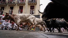 Tây Ban Nha: Hàng nghìn người dân tham gia lễ hội đấu bò San Fermin
