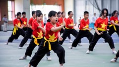 Tìm giải pháp đưa Võ cổ truyền Việt Nam ra thế giới