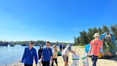 Gần 150 học sinh tình nguyện Mỹ tham gia làm sạch biển ở Quảng Ngãi