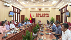 DTI tỉnh Quảng Ngãi tăng 34 bậc, đứng thứ 26/63 tỉnh, thành