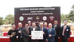 Thành lập Tổ chức Quyền Anh Việt Nam