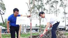 Phát động trồng cây hưởng ứng giải Marathon quốc tế