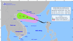 Chủ động, linh hoạt, phối hợp tốt phòng, chống bão số 1