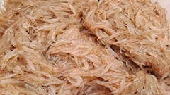 Ngư dân bãi ngang Quảng Bình hồ hởi đi xúc ruốc biển