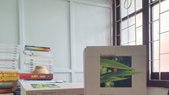 Tiểu thuyết Suối Cọp của nhà văn Hữu Ước xuất bản ở Hungary