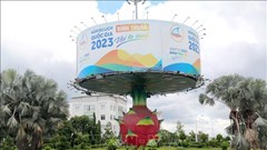 Yêu cầu xử lý thông tin sai sự thật liên quan biểu tượng trái thanh long tại Bình Thuận