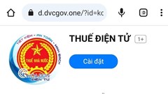 Làm theo hướng dẫn giảm thuế trên mạng, chủ doanh nghiệp bị lừa 600 triệu
