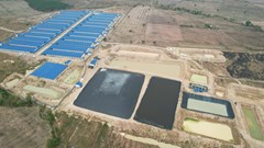 Gia Lai: Xử phạt 4 doanh nghiệp chăn nuôi heo gần 1,3 tỉ đồng vì không có giấy phép môi trường