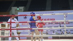 Giải võ cổ truyền thành phố Đà Nẵng năm 2023