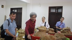 Thăm quan và tìm hiểu văn hóa Sa Huỳnh tại Bảo tàng Tổng hợp tỉnh Quảng Ngãi