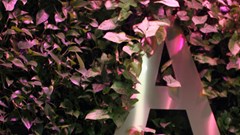 Amway Việt Nam được vinh danh Giải thưởng Nơi làm việc tốt nhất châu Á và đội ngũ lãnh đạo đột phá