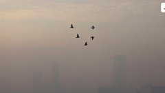 Thủ đô của Indonesia là một trong những thành phố ô nhiễm nhất thế giới