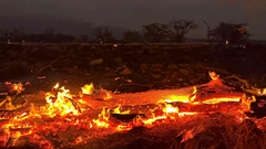 Ít nhất 55 người chết ở Hawaii vì cháy rừng