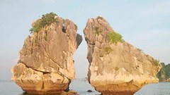 Hòn trống mái ở vịnh Hạ Long có nguy cơ bị gãy, đổ: Cần ngay giải pháp bảo tồn cấp thiết