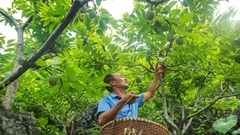 Tổ chức Ngày hội văn hóa thể thao các dân tộc huyện Chi Lăng