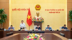 Hướng tới lộ trình đóng bảo hiểm xã hội 10 năm sẽ được hưởng lương hưu