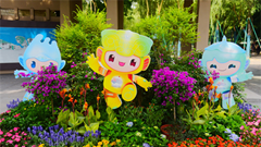 Hai nội dung thi đấu tại Asian Games bị huỷ bỏ