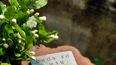 Nhà văn Phong Điệp ra mắt tiểu thuyết hình sự