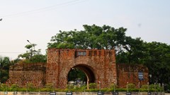 Cây cối lại mọc um tùm trên cổng thành cổ tuyên quang: Chọn cây xanh hay bảo tồn di tích?