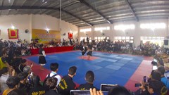 Hành trình đưa Võ cổ truyền Việt Nam ra thế giới (Bài cuối): Cần chiến lược tổng thể, dài hạn