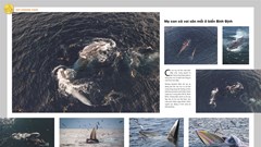 16 tác phẩm đoạt giải tại Festival Nhiếp ảnh trẻ